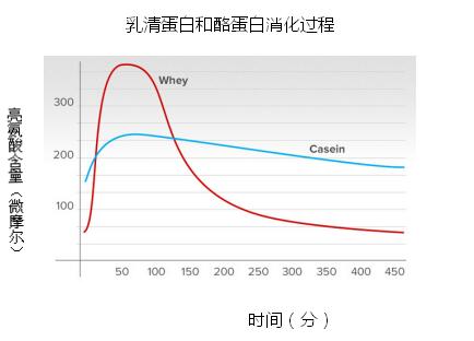 你的乳清蛋白和酪蛋白喝对了吗